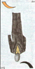 ge50a :ge50a: